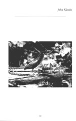 MISSING THUMBNAIL