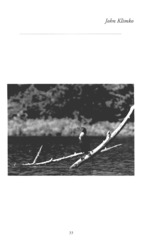 MISSING THUMBNAIL