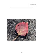 MISSING THUMBNAIL