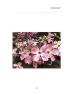 MISSING THUMBNAIL
